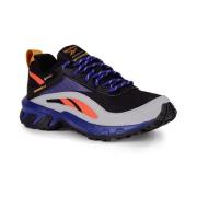 Lage Sneakers Reebok Sport Ridgerider 6