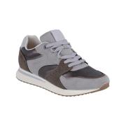 Lage Sneakers Bagatt D32ARA0355551290