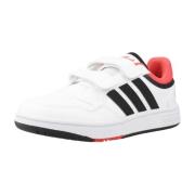 Lage Sneakers adidas HOOPS 3.0 CF C