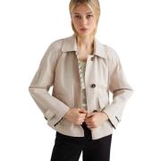 Windjack Marella DARSENA