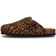 Klompen Scholl SL.F318142330