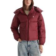 Donsjas Calvin Klein Jeans ESSENTIAL MIDWEIGHT LV047D501G