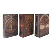 Manden en dozen Signes Grimalt 3U Boomboekendoos