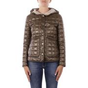 Windjack Fay NAW22513700