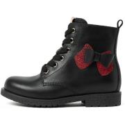 Laarzen NeroGiardini Cairo T.Glitter Fine T.Brill Platino 6074 Tr