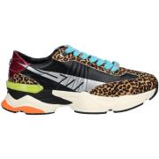 Lage Sneakers Steve Madden Sneaker