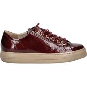 Lage Sneakers Paul Green Sneaker