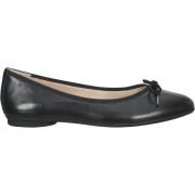 Ballerina's Paul Green Ballerina´s