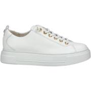 Lage Sneakers Paul Green Sneaker