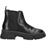 Laarzen Steve Madden Enkellaarzen