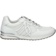 Lage Sneakers Gabor Sneaker