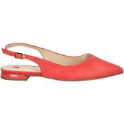 Ballerina's Högl Ballerina´s