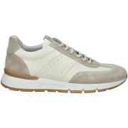 Lage Sneakers NeroGiardini Sneaker