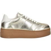 Sneakers Steve Madden Sneaker