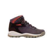 Wandelschoenen Columbia Newton Ridge Plus Wp