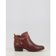 Enkellaarzen Pikolinos DAROCA W1U-8901C1