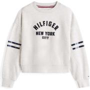 Sweater Tommy Hilfiger Hilfiger Batwing Sweatshirt