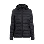 Windjack Mckinley Erika