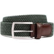 Riem Profuomo Geweven Riem Groen