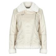 Windjack Morgan GSAPA