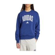 Sweater adidas M COLLEGIATE SW