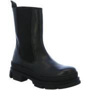 Laarzen Steve Madden -