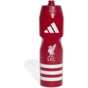 Sportaccessoires adidas Lfc Bottle