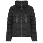 Donsjas Morgan GABEL