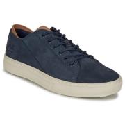 Lage Sneakers Timberland ADV 2.0 CUPSOLE MODERN OX