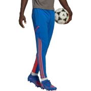 Broek adidas Pantalon Condivo 22 Predator