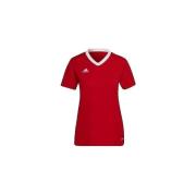 T-shirt Korte Mouw adidas T-shirt Entrada 22 rouge