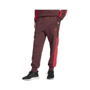 Trainingsbroek adidas Pantalon Seasonal Essentials Colorblock Beige