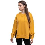 Sweater Puma Sweat à capuche HER Hoodie TR