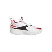 Basketbalschoenen adidas Dame Certified