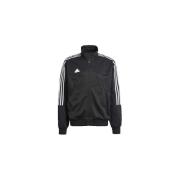 Blazer adidas Tiro Tt Q1