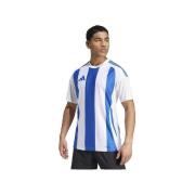 Zwembroek adidas Striped 24 Player