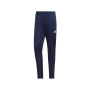 Trainingsbroek adidas Entrada 22