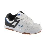 Lage Sneakers DC Shoes DC01813100