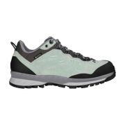 Wandelschoenen Lowa Delago Gtx Lo