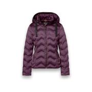 Blazer District Snowbird