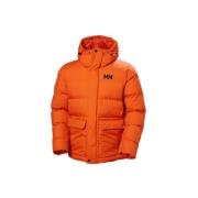 Donsjas Helly Hansen 54513300