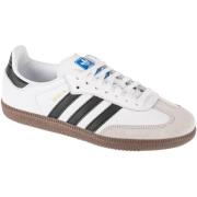 Lage Sneakers adidas adidas Samba OG Jr