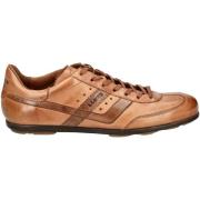 Lage Sneakers Lloyd Sneaker