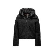 Windjack Bomboogie JW8196 SFC5-90