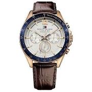 Horloge Tommy Hilfiger 1791118