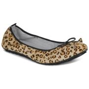 Ballerina's Mac Douglas ELIANE