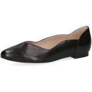 Ballerina's Caprice -