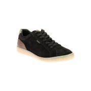 Lage Sneakers Kickers Kick Salem
