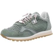 Sneakers Cetti -