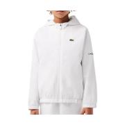 Sweater Lacoste -
